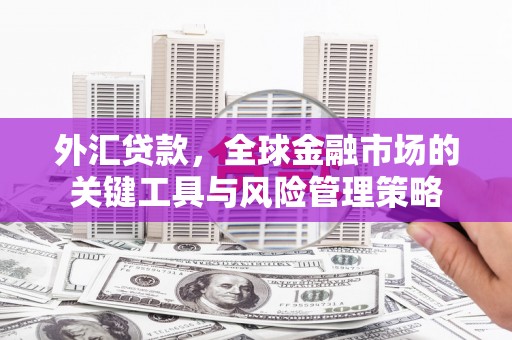 东乡族外汇贷款，全球金融市场的关键工具与风险管理策略