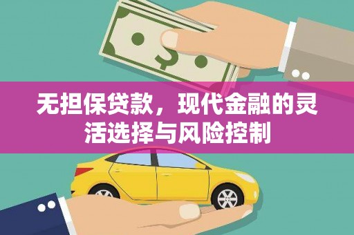 东乡族无担保贷款，现代金融的灵活选择与风险控制