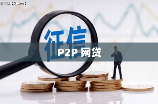 东乡族P2P 网贷