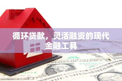 东乡族循环贷款，灵活融资的现代金融工具