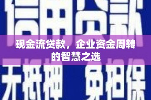东乡族现金流贷款，企业资金周转的智慧之选
