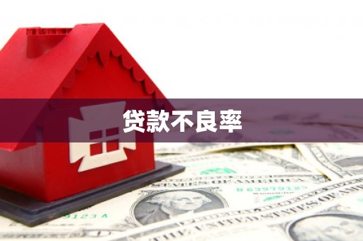 东乡族贷款不良率