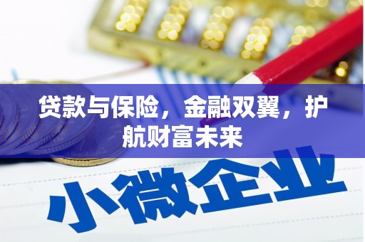 东乡族贷款与保险，金融双翼，护航财富未来