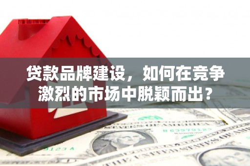 东乡族贷款品牌建设，如何在竞争激烈的市场中脱颖而出？