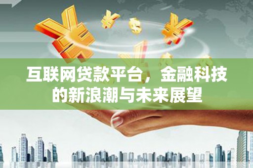 东乡族互联网贷款平台，金融科技的新浪潮与未来展望