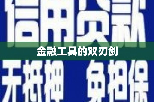 东乡族金融工具的双刃剑