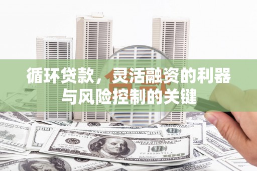 东乡族循环贷款，灵活融资的利器与风险控制的关键