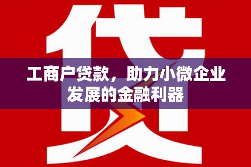 东乡族工商户贷款，助力小微企业发展的金融利器