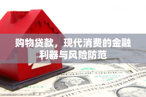东乡族购物贷款，现代消费的金融利器与风险防范