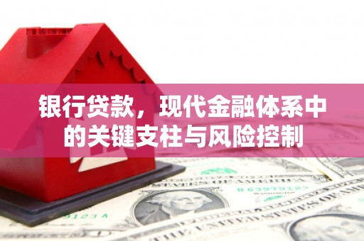 东乡族银行贷款，现代金融体系中的关键支柱与风险控制
