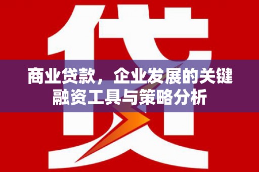 东乡族商业贷款，企业发展的关键融资工具与策略分析