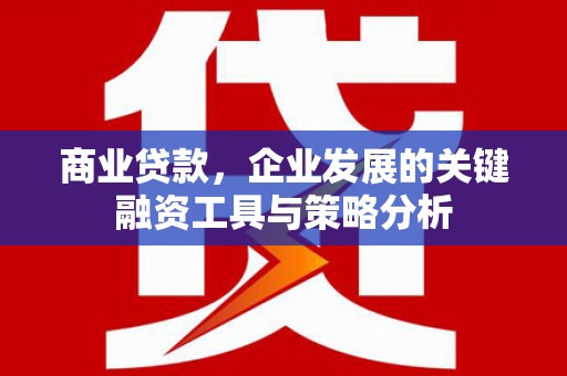 东乡族商业贷款，企业发展的关键融资工具与策略分析