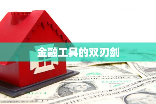 东乡族金融工具的双刃剑