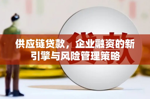 东乡族供应链贷款，企业融资的新引擎与风险管理策略