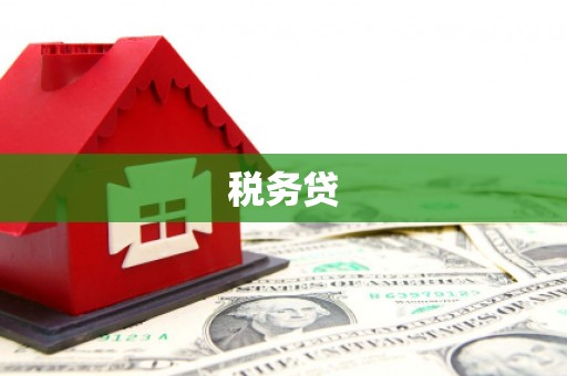 东乡族税务贷