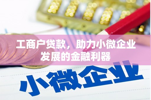 东乡族工商户贷款，助力小微企业发展的金融利器