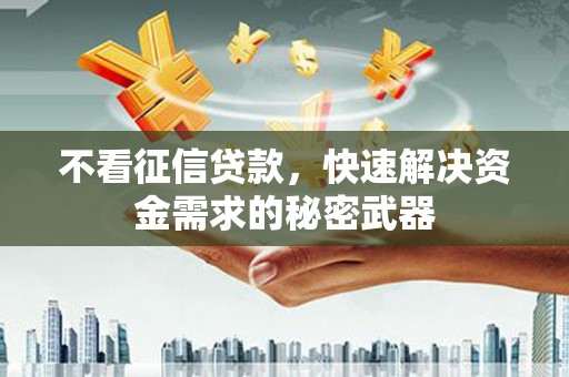 东乡族不看征信贷款，快速解决资金需求的秘密武器