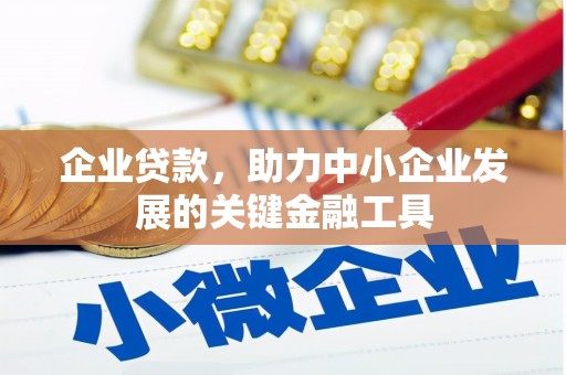 东乡族企业贷款，助力中小企业发展的关键金融工具