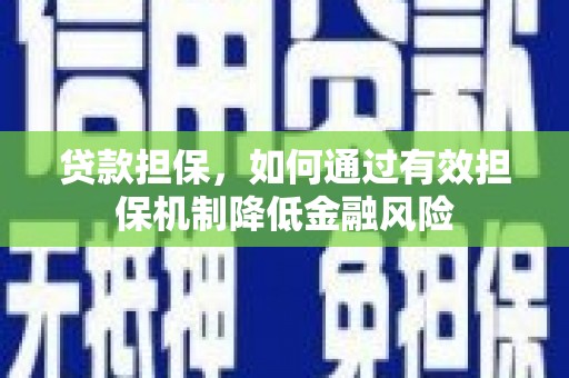 东乡族贷款担保，如何通过有效担保机制降低金融风险