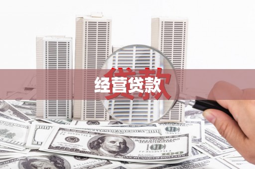 东乡族经营贷款