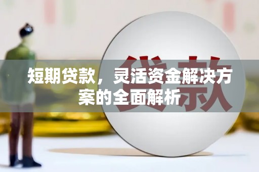 东乡族短期贷款，灵活资金解决方案的全面解析