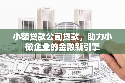 东乡族小额贷款公司贷款，助力小微企业的金融新引擎