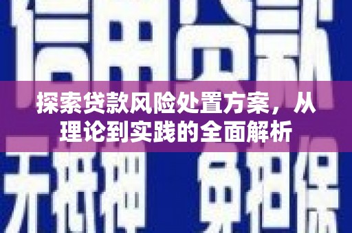 东乡族探索贷款风险处置方案，从理论到实践的全面解析