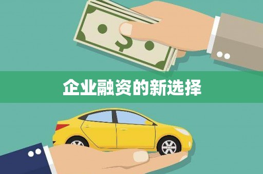 东乡族企业融资的新选择