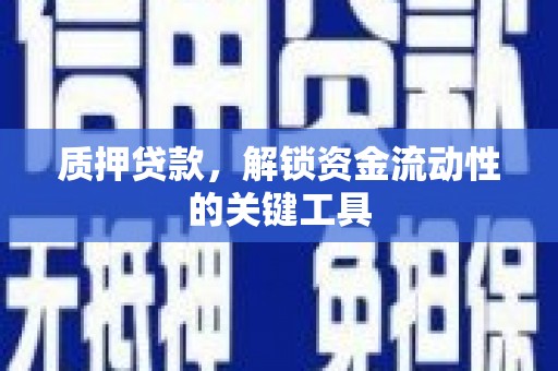 东乡族质押贷款，解锁资金流动性的关键工具