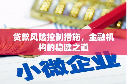 东乡族贷款风险控制措施，金融机构的稳健之道