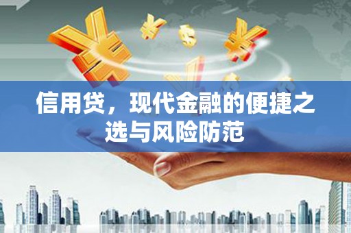 东乡族信用贷，现代金融的便捷之选与风险防范