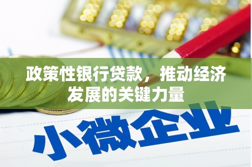 东乡族政策性银行贷款，推动经济发展的关键力量