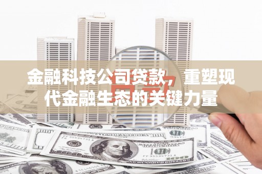 东乡族金融科技公司贷款，重塑现代金融生态的关键力量