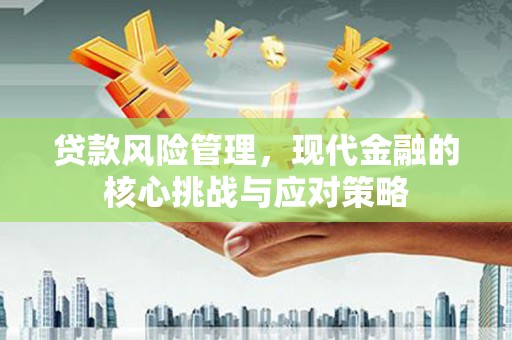东乡族贷款风险管理，现代金融的核心挑战与应对策略
