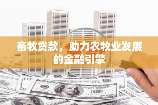 东乡族畜牧贷款，助力农牧业发展的金融引擎