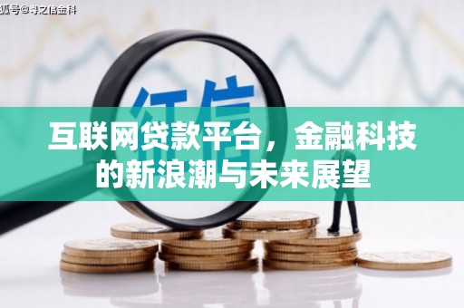 东乡族互联网贷款平台，金融科技的新浪潮与未来展望