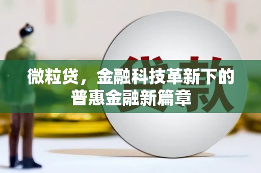 东乡族微粒贷，金融科技革新下的普惠金融新篇章
