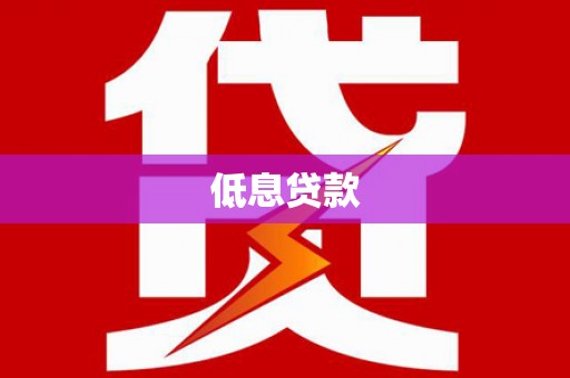 东乡族低息贷款