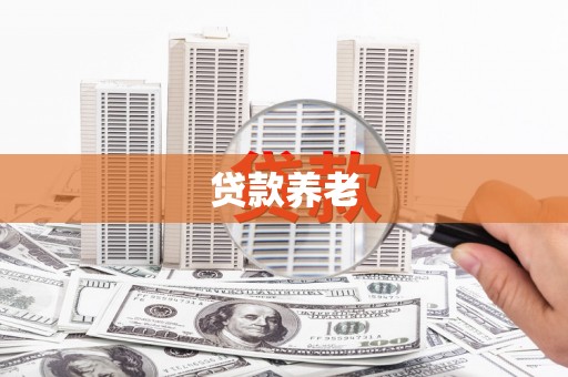 东乡族贷款养老