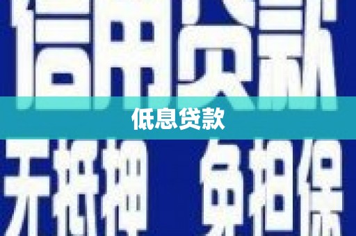 东乡族低息贷款