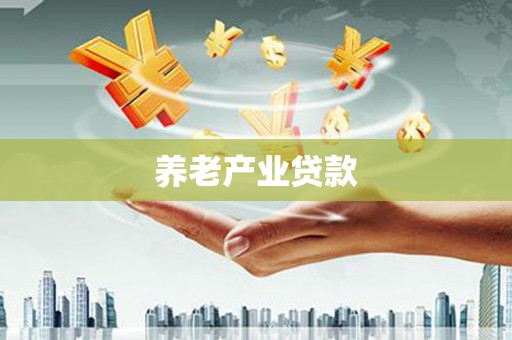 东乡族养老产业贷款
