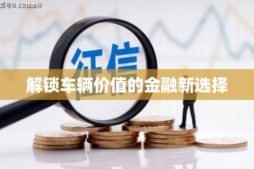 东乡族解锁车辆价值的金融新选择