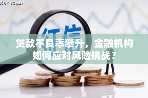 东乡族贷款不良率攀升，金融机构如何应对风险挑战？