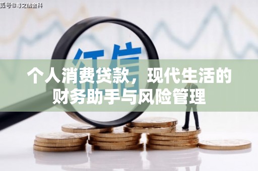 东乡族个人消费贷款，现代生活的财务助手与风险管理