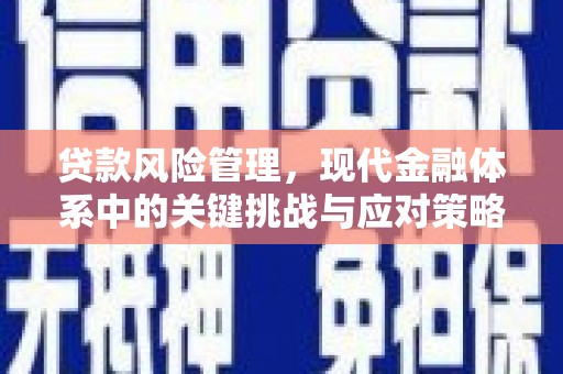东乡族贷款风险管理，现代金融体系中的关键挑战与应对策略