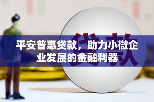 东乡族平安普惠贷款，助力小微企业发展的金融利器
