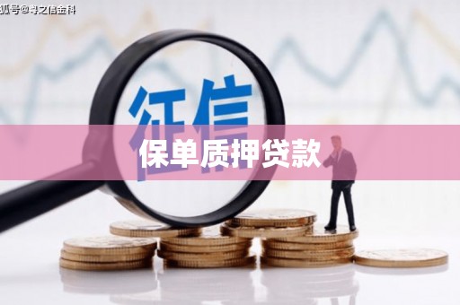 东乡族保单质押贷款
