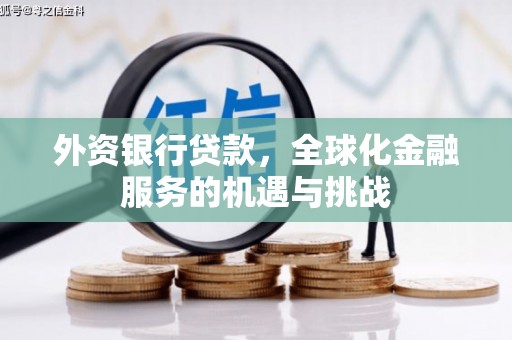 东乡族外资银行贷款，全球化金融服务的机遇与挑战