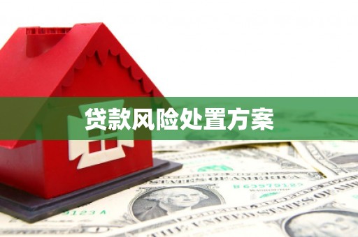 东乡族贷款风险处置方案