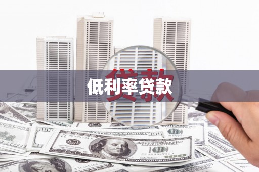 东乡族低利率贷款